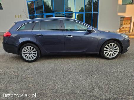 Opel Insignia 2.  0CDTI AUTOMAT 2010