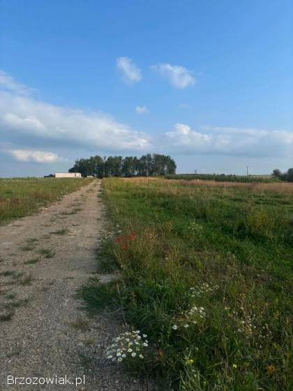 STARA WIEŚ -  Wyjątkowe działki budowlane