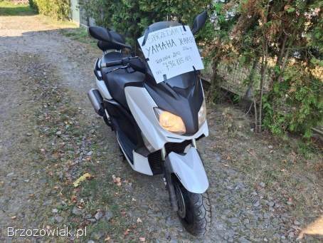 Yamaha X-Max 2012
