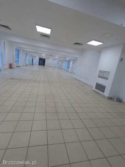 Do wynajęcia lokal użytkowy 315 m² – Sanok,  ul.  Lwowska 14