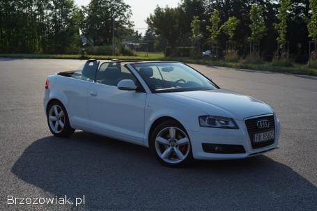 Audi A3 Cabrio 2010