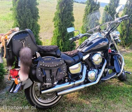 Kawasaki Vulcan 1500 1998