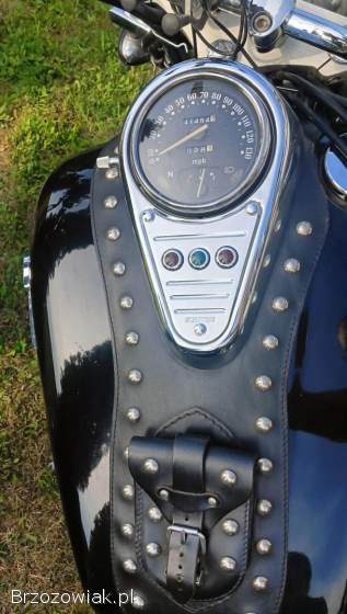 Kawasaki Vulcan 1500 1998