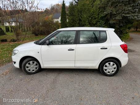 Škoda Fabia 2 2014
