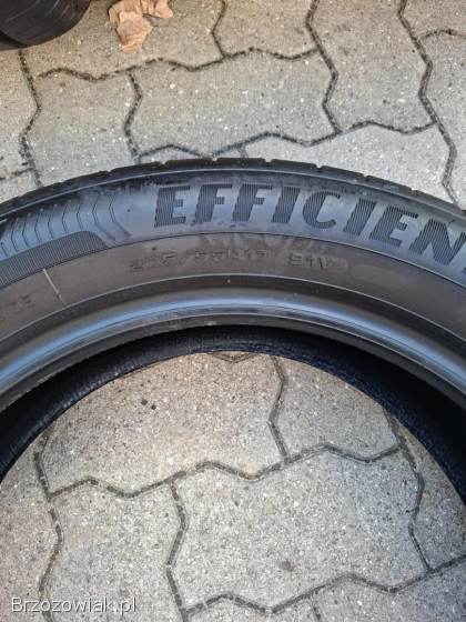 Opony letnie Goodyear 205 55 r 17 91V