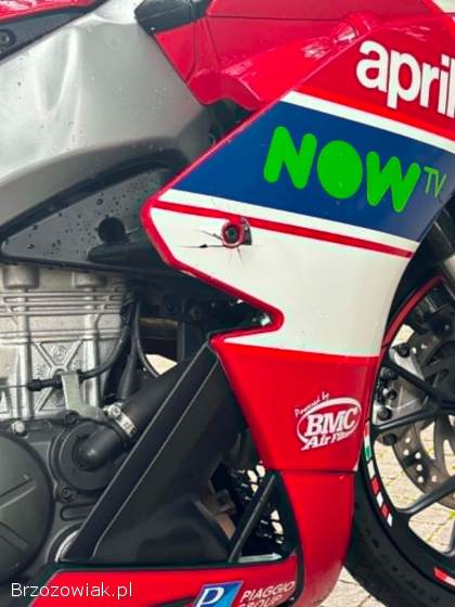 Aprilia RS Rs-gp replica 2019