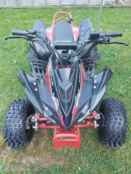 Quad 125