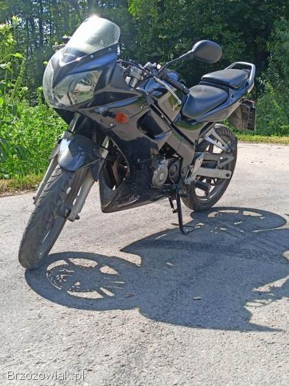 Honda CBR 2004