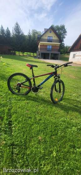 Rower indiana x-pulser 2.  4