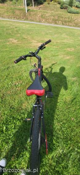 Rower indiana x-pulser 2.  4