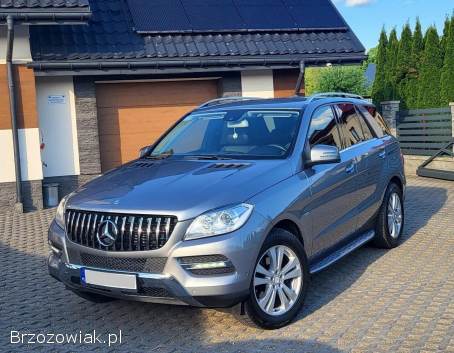 Mercedes-Benz Ml 2011