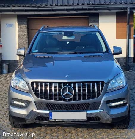 Mercedes-Benz Ml 2011