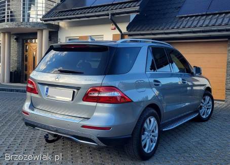 Mercedes-Benz Ml 2011