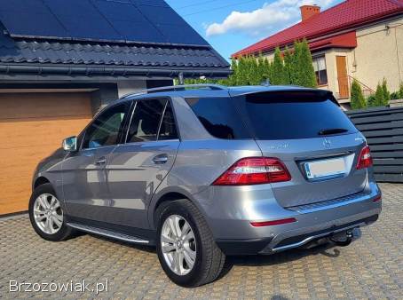 Mercedes-Benz Ml 2011