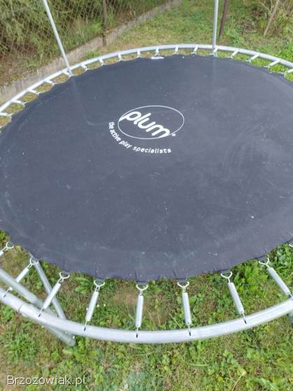 Trampolina Plum 244cm