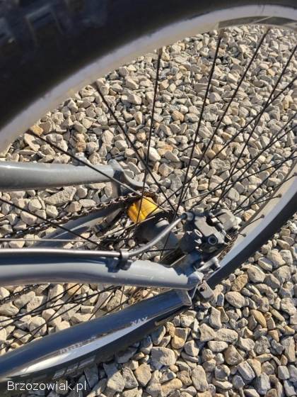 Rower Dirt