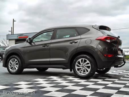 Hyundai Tucson SUPER STAN!   2017