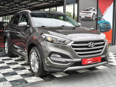 Hyundai Tucson SUPER STAN!   2017