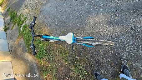 Rower Romet