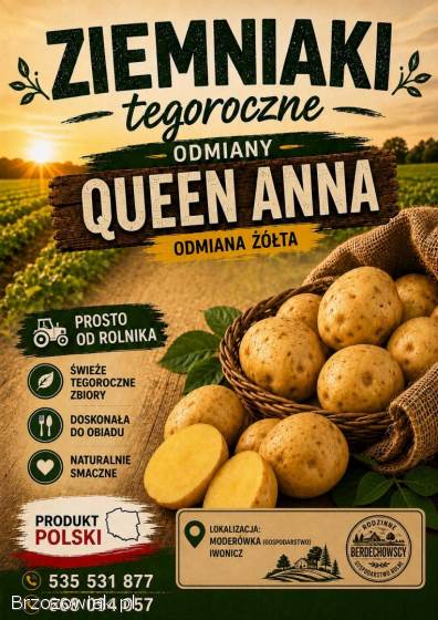 Ziemniaki Królowa Anna