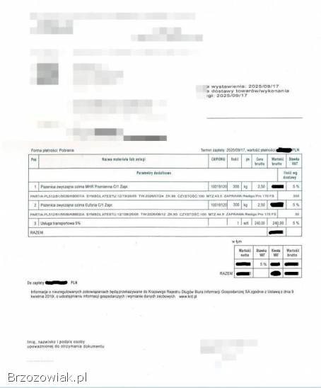 Pszenica ozima Euforia i MHR Promienna po kwalifikacie.