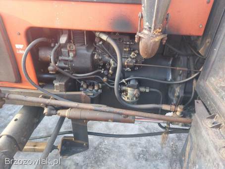 Zetor 5320 z pługiem do śniegu