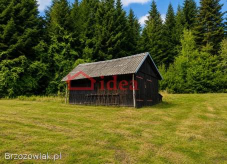 Leśna enklawa w Orzechówce 1,  6 ha