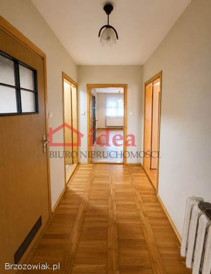 Leśna enklawa w Orzechówce 1,  6 ha