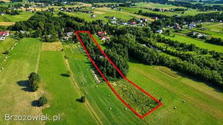 Siedlisko w Orzechówce 1ha
