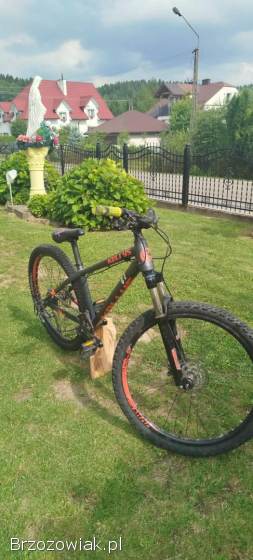 Rower Kellys whip 50