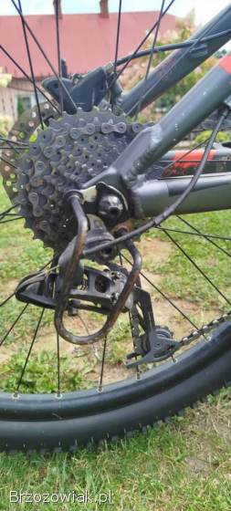 Rower Kellys whip 50