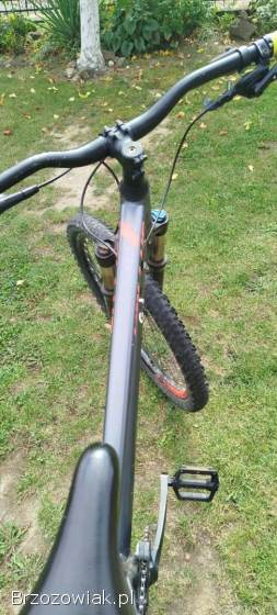 Rower Kellys whip 50