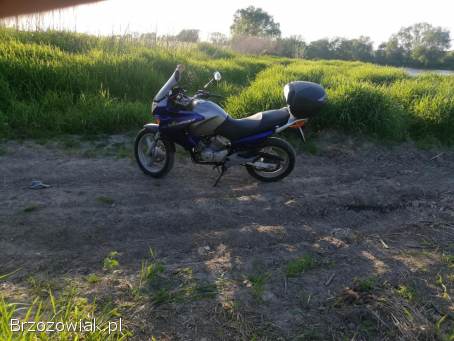 Honda XL XL125 2004