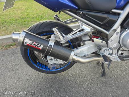 Yamaha FZS Fazer 1000 2001