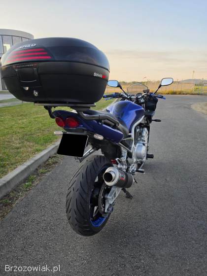 Yamaha FZS Fazer 1000 2001