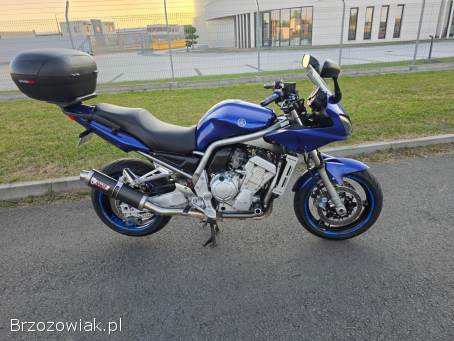 Yamaha FZS Fazer 1000 2001