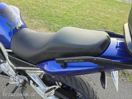Yamaha FZS Fazer 1000 2001