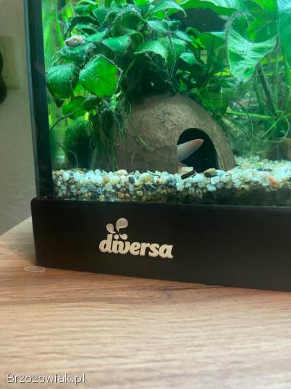 Akwarium 100 l
