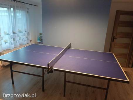 Stół do ping ponga