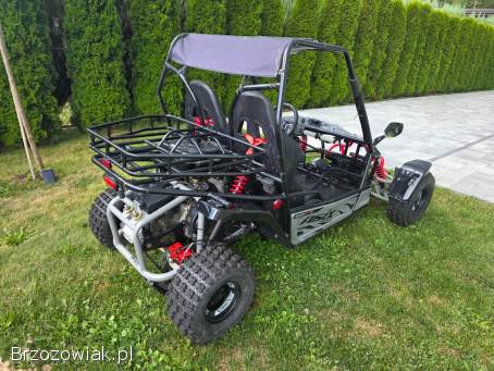 Buggy ASIX 200