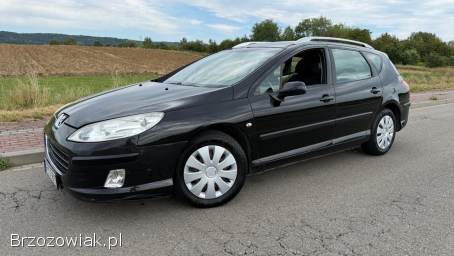 Peugeot 407 1.  6HDi 109km 2008