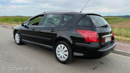 Peugeot 407 1.  6HDi 109km 2008