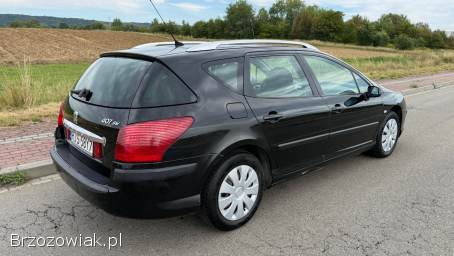 Peugeot 407 1.  6HDi 109km 2008
