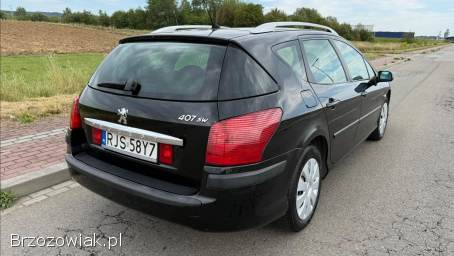 Peugeot 407 1.  6HDi 109km 2008