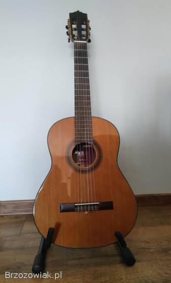 Gitara Martinez 3/4