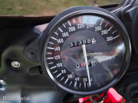 Yamaha YFZ 2000