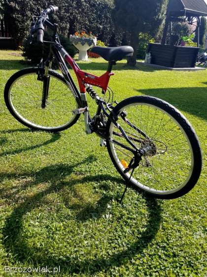 Rower Ornado kola 24 cale