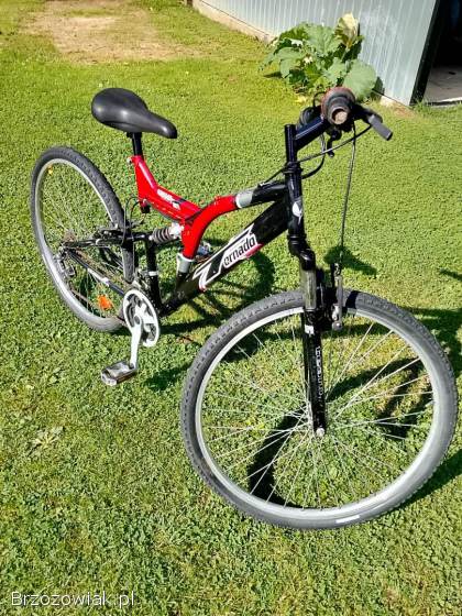 Rower Ornado kola 24 cale