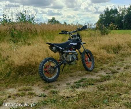 Loncin Kxd 125 2019