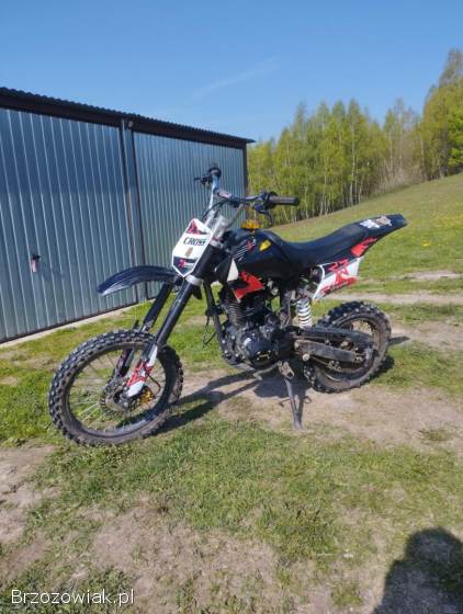 Loncin 250 2023